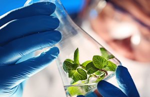 Yaklaşan bilimsel tsunami her şeyi değiştirecek