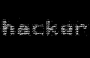 Türkiye’deki kullanıcıların yüzde 71’i hackerları umursamıyor