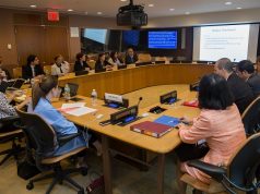 Vestel’in projesi Birleşmiş Milletler ‘de tüm dünyaya anlatıldı