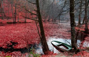 Epson Türkiye Fotoğraf Yarışması kazananları belli oldu