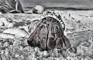 Gandcrab fidye yazılımı mağdurlarına Bitdefender ’dan ücretsiz çözüm