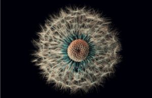 Türkiye bilişim pazarı 2017’de de büyümesini sürdürdü türkiye Bilişim pazarı