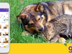 Getir, 4 Ekim’de yine binlerce hayvanı doyuracak Mama Gönder getir