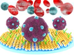 Teknoloji ve tıbbı bir araya getiren startup: Yesil Science Nobel Tıp ödülü sahipleri