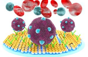 Teknoloji ve tıbbı bir araya getiren startup: Yesil Science Nobel Tıp ödülü sahipleri