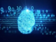 Plum. ile Blockchain dünyasındaki dijital kimlikler yasallaşıyor milyon dolarlık videoyu