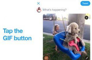 Twitter Live Photos için düğmeye bastı! Twitter Live Photos