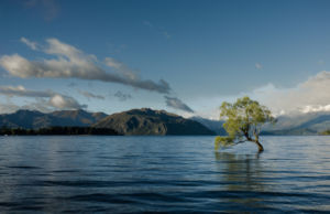 İnsanlar 150 Yaşına Kadar Yaşayacak: Biyoteknoloji Çağ Atlatacak İnsanlar 150 yaşına kadar yaşayacak