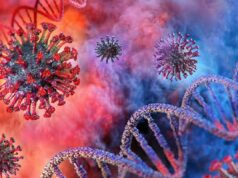 Harvard Üniversitesi Koronavirüs İçin Uyardı: İkinci Dalga Hemen Gelebilir