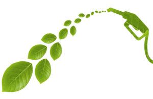 Dizel otomobiller bu yılda da sükse yapacak!