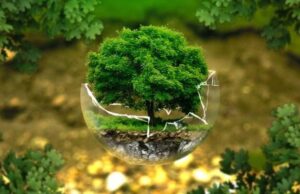 Bugün Dünya Çevre Günü! Sen Çevren İçin Ne yaptın? dünyada oksijen kalmayacak