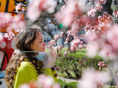 Koronavirüs koku ve tat alma kaybına yol açıyor mu? koronavirüs koku ve tat alma kaybına yol açıyor