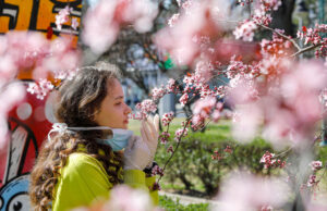 Koronavirüs koku ve tat alma kaybına yol açıyor mu? koronavirüs koku ve tat alma kaybına yol açıyor