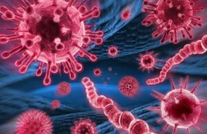 Koronavirüste Normalleşme Süreci nasıl yaşandı? Bilim insanları sigara