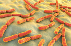 İnsan Mikrobiyotası İçin “Nuh’un Gemisi” İnşa Ediliyor Mikrobiyom Deposu