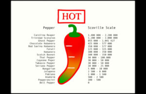 Scoville Nedir? coville Ölçeği Nasıl Kullanılır?