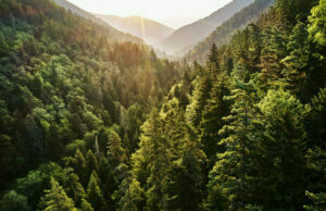 Microsoft yeni hedefini açıkladı! 2030 itibarıyla sıfır atık! Microsoft