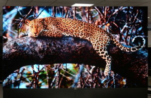 LG Mikro Led ile Ekran teknolojisi neler sunuyor? LG Mikro Led