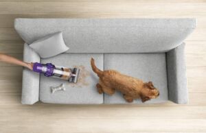 Dyson Mühendislerinden Evcil Hayvan Sahiplerine Temizlik İpuçları Evcil hayvan