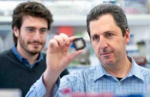 Hayvan Deneyleri Bu Çip Sayesinde Bitecek! Çip krizi yeni sorunlarla