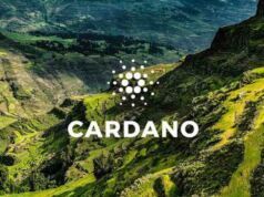 Cardano Analisti Yeni Metriklerle Yükselişi İşaret Etti: Geliyor Gelmekte Olan Kripto para yatırımları