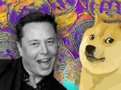 Kripto Para Dünyasında Bu Hafta Yaşananlar: Ortalık Toz Duman Oldu (1-7 Haziran) SHIB 2022 fiyatı