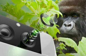 Samsung Galaxy Gorilla Glass Teknolojisiyle Daha iyi Fotoğraf Çekecek İlk kez Samsung Galaxy modellerinde göreceğimiz Corning Gorilla Glass lensler iddialı özelliklere sahip