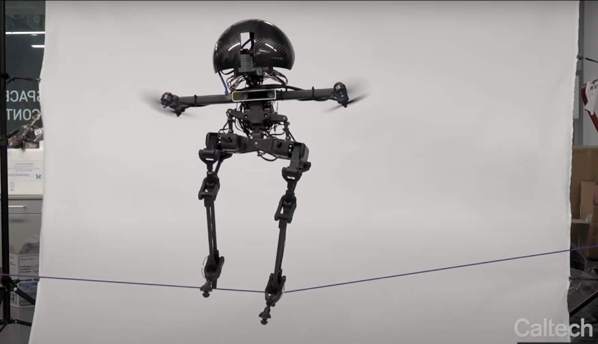 Yeni Nesil Robot: Leonardo