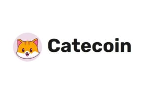 Catecoin Aldı Başını Gitti! Peki ne olacak şimdi? Daha da mı artacak yoksa düşecek mi?