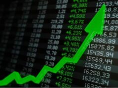 Bu Metaverse Coin 2 Günde Yüzde 2000 Arttı! Bu akımı yakalayabilene aşk olsun…