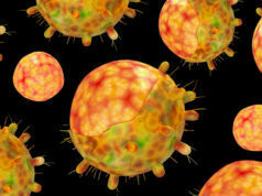 Bu Yapay Zeka Yazımı Omicron Varyantı Yapısını Tahmin Ediyor