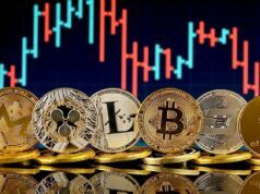 Balinaların En Sevdiği Kriptolar Bakın Hangileri Oldu: Almaya Doyamadılar Türkiye'de bu kriptolara