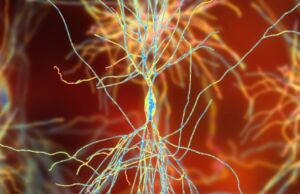 Bu Psikolojik Sendrom Hayatı Zindana Çevirebiliyor: Bilim İnsanları Açıkladı Zeka seviyeniz yüksekse