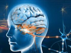 Sosyalleşmeyen İnsanların Beyin Fonksiyonları Ölüyor: Bilim İnsanları Açıkladı Çin beyin çipi alanında devrim