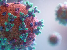 Şimdi de Langya Virüsü Çıktı. Yine Çin’den! Peki Belirtiler Neler?