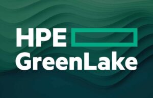 Netex AŞ, dağıtımını üstlendiği Hewlett Packard Enterprise (HPE) markasının GreenLake çözümü ile şirketlerin dijitalleşmesini hızlandırarak bulut konforu sunuyor