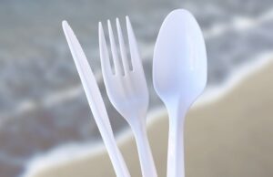 Bu Ülkede Plastik Kaşık ve Plastik Tabak Gibi Ürünler Yasaklanıyor!