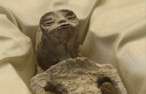 Uzaylı Fosilleri İlk Kez Resmi Bir Alanda Sergilendi! İşte Fotoğraflar