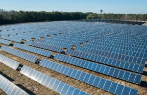 Türk Telekom’un Dijital Dönüşüm Liderliğiyle Daha Yeşil Bir Gelecek