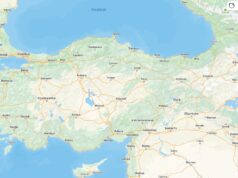 Türk Kullanıcıların Yandex Ads Tercihleri Açıklandı!