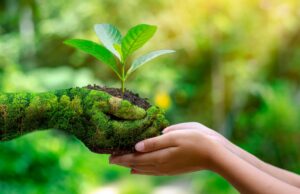 Varta Pilleri Türkiye ‘den Yeni bir Sosyal Sorumluluk Projesi