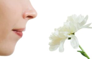 Kokan Telefon İster Misiniz? Infinix Note 50s 5G+ Yolda