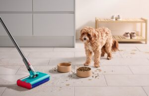 Dyson’dan Yazlıklar İçin Bilimden İlham Alan Akıllı Temizlik Önerileri