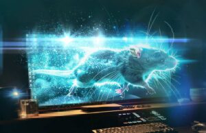 Siber Suçluların Tehdit Aracı AsyncRAT: Evrimleşen Uzaktan Erişim Zararlısı