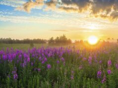 2053 Sıfır Emisyon Hedefi Yasallaştı: Kurumsal Araçlar Elektrikliye Geçişte Ana Aktör