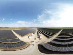 YEO Teknoloji’den Dünyaya 2,5 Milyon Ağaçlık Nefes