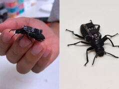 ZoBorg Projesi: Avustralyalı Bilim İnsanlarından Çığır Açan Teknoloji