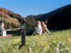 DJI Osmo Pocket 4 ile Hareket Halinde Profesyonel İçerik Üretimi Daha Kolay Hale Geliyor DJI Osmo Pocket 4
