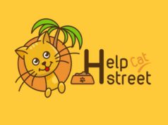 HelpStreetCat, Akıllı Besleme İstasyonlarıyla Sokak Hayvanlarına Uzaktan Destek Getiriyor