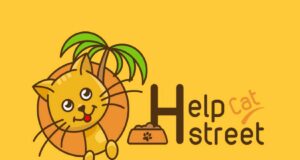 HelpStreetCat, Akıllı Besleme İstasyonlarıyla Sokak Hayvanlarına Uzaktan Destek Getiriyor